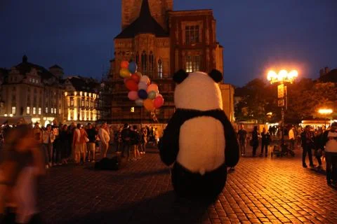 A panda in Prague Stock Photos