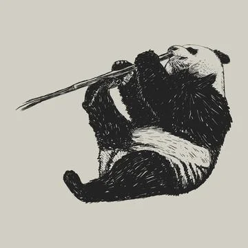 Panda sketch hand drawing Stock Illustration