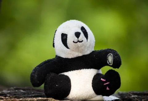 Panda teddy bear Stock Photos