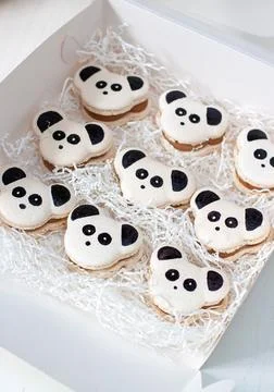 Panda theme black and white macarons or cookies in gift box. Sweet present .. Stock Photos