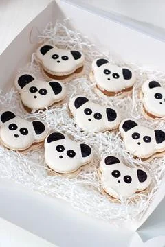 Panda theme black and white macarons or cookies in gift box. Sweet present .. Stock Photos