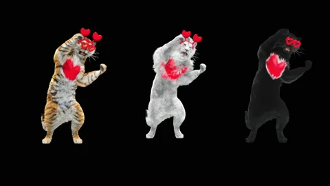 Panda tiger penguin penguins White lion bear,with Alpha Channel Stock Footage 145148908