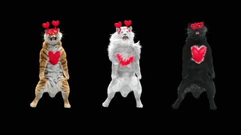 Panda tiger penguin penguins White lion bear,with Alpha Channel Vídeo Stock 145151007