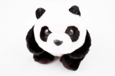 Panda toy Stock Photos