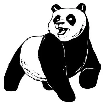 Panda on White Stockillustratie