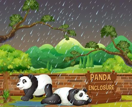 Panda in Zoo in Raining Night Stock Illustration