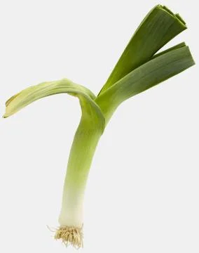 Pandan leaf Foto stock