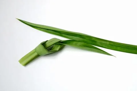 Pandan Stock Photos
