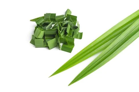 Pandan on white background Stock Photos