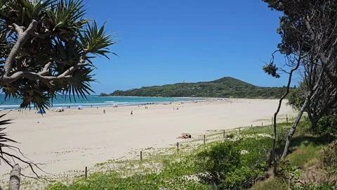 Pandanus Frame over the Wide Beach, Byron Bay, Australia 8K Stock Footage 299153295