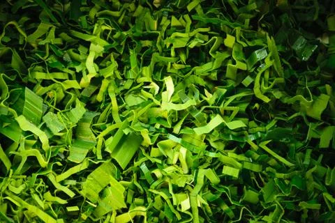 Pandanus leaf split texture background Foto stock