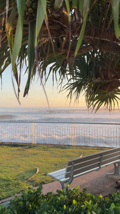 Pandanus Tree Morning Sunlight Waves Breaking Vidéo 301653841