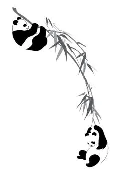 Pandas on branch Stock Illustration