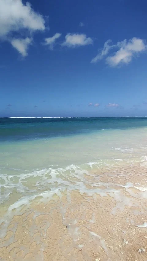 Pandawa Beach - Potrait 動画素材 242017005