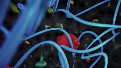 Pandemic Series Stock Footage 127122863