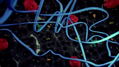 Pandemic Series Stock Footage 127122920