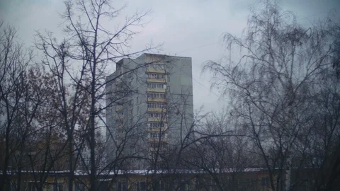 Panel Building and Bare Branches of Tree Blowing in the Wind 스톡 동영상 103334312