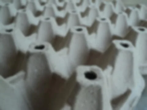 Panel eggs paper blurred background. Stock Photos
