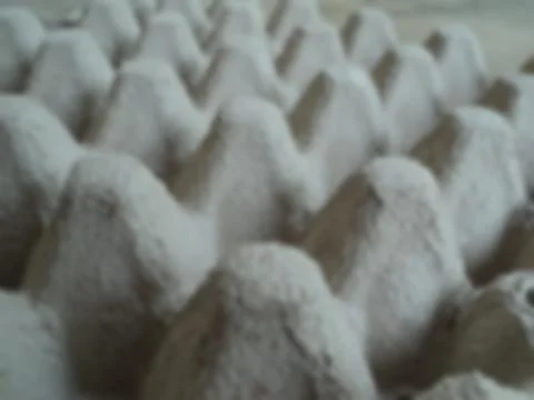 Panel eggs paper blurred background, with macro natural. Stock-Fotos