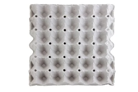 Panel empty eggs of paper Stock Photos