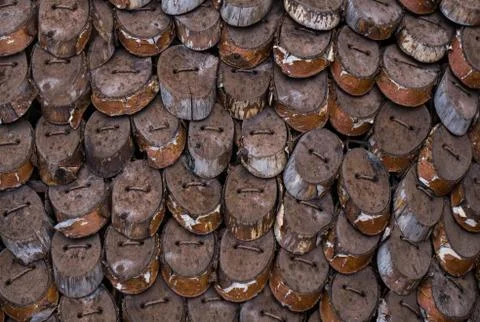Panel of juniper cuts connected together into one. Foto stock