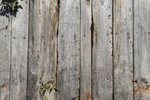 Panel wood planks texture background Foto stock
