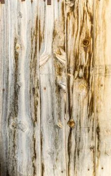 Panel wood planks texture background Stock Photos