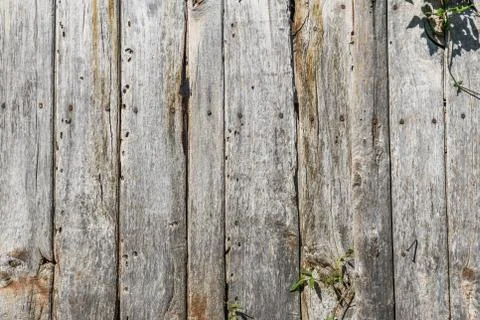 Panel wood planks texture background Stock Photos