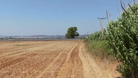 Panel1 Video stock 283680059