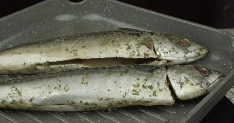 Panfrying atlantic mackerels closeup Stock Footage 139405871