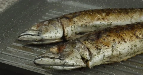 Panfrying atlantic mackerels closeup Stock Footage 145320895