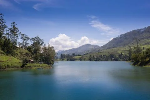 Pang ung , reflection of pine tree in a lake Stock Photos