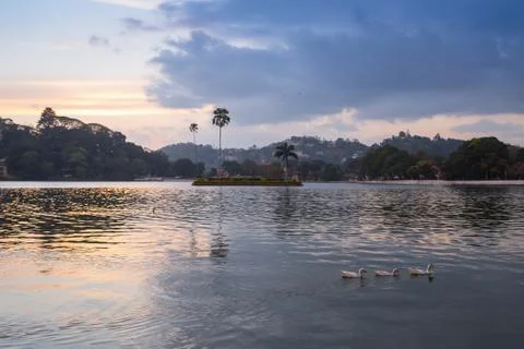 Pang ung , reflection of pine tree in a lake Stock Photos