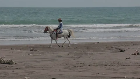 Pangandaran, West Java, Indonesia - Man on Horse Passing at The Beach Stock Footage 201256472