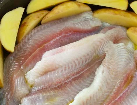 Pangasius fillets Stock Photos