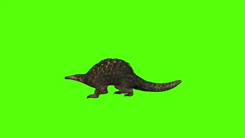 Pangolin Attack Forward Green Screen Animation 4k Rendering Stock Footage 294196546