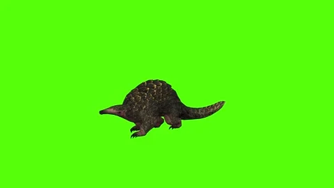 Pangolin Attack Forward Green Screen Animation 4k Rendering Stockbeeldmateriaal 294196571