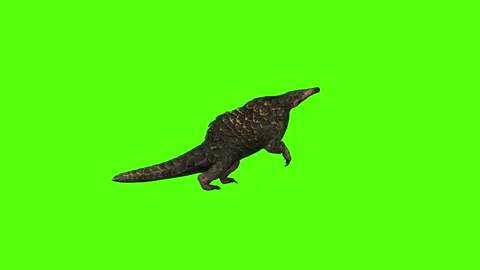 Pangolin Attack Green Screen Animation 4k Rendering Vídeos de archivo 294196556