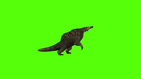 Pangolin Attack Green Screen Animation 4k Rendering Vidéo 294196590