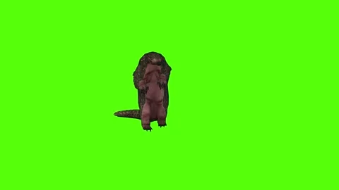 Pangolin Claws Attack Green Screen Animation 4k Rendering Stock-Footage 294196618