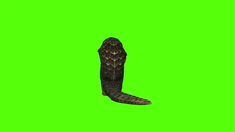 Pangolin Claws Attack Green Screen Animation 4k Rendering Vídeos de archivo 294196906