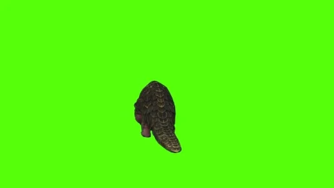 Pangolin Idle Green Screen Animation 4k Rendering Stockbeeldmateriaal 294196275