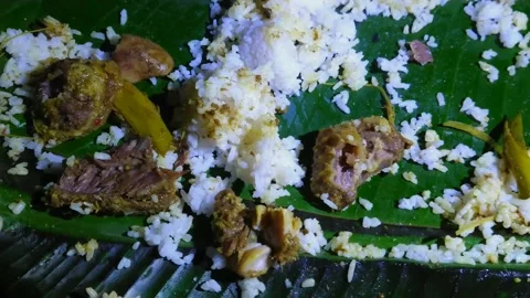 Pangolin meat Stock-Footage 162420778