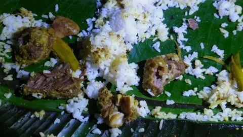 Pangolin meat Stock-Footage 162420833