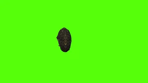 Pangolin Rolling Attack Green Screen Animation 4k Rendering Vídeos de archivo 294196339