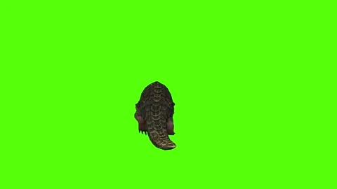 Pangolin Running Green Screen Animation 4k Rendering 動画素材 294196336