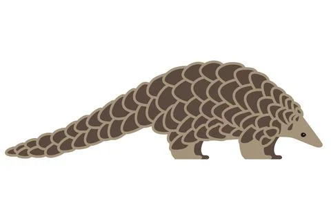 Pangolin walking and searching, side view, vector illustration Stock Illustration
