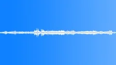 Panic of birds in tropical jungles Sound Effect