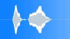 Panic screamSound Effect