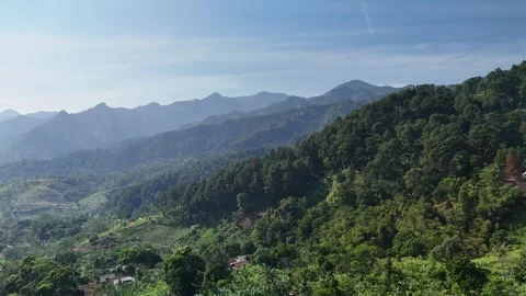 Paniisan Hill Forest Stock Footage 285924306